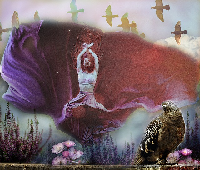 荷兰足球甲 荷兰足球甲